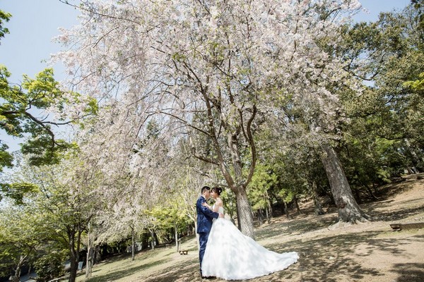 旅拍婚紗,日本婚紗,海外婚紗,奈良拍婚紗,奈良婚紗照